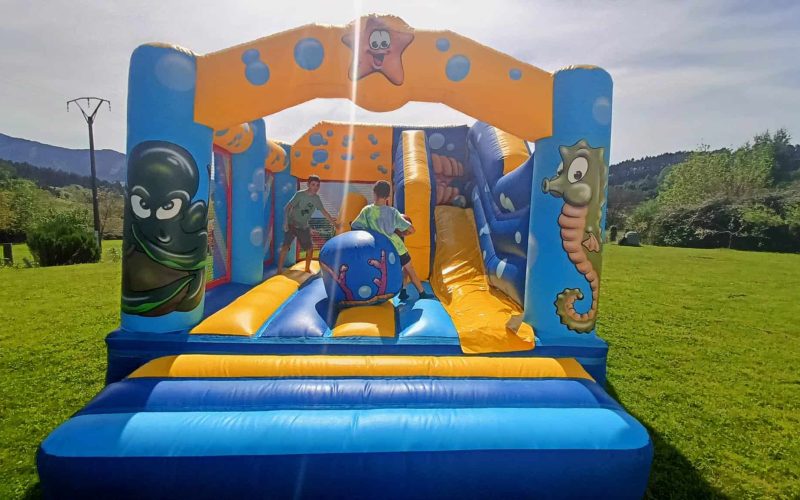 Irrikazu Animazioa Alquiler de hinchables