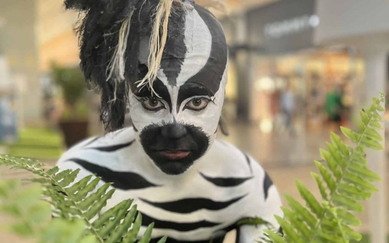 Irrikazu Animazioa Maquillajes