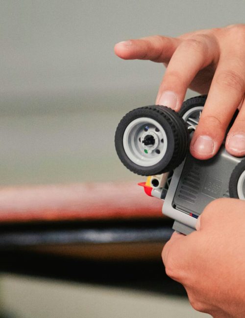 david-mendoza-6YtUhf8pSOY-unsplash